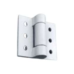 2000-304 Security Hinges